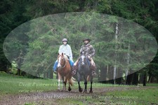 ref. photo 3355046