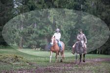 ref. photo 3355050