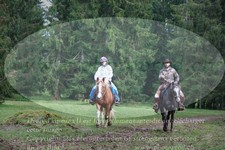 ref. photo 3355051