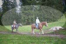 ref. photo 3355066
