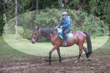 ref. photo 3355101