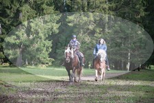 ref. photo 3355109