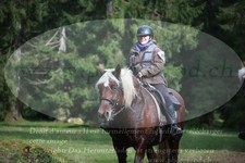 ref. photo 3355114