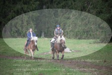 ref. photo 3355125