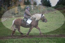 ref. photo 3355135