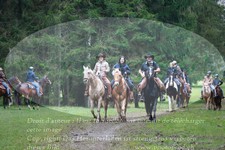 ref. photo 3355142