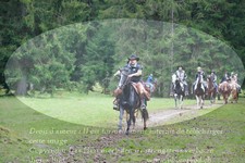 ref. photo 3355145