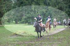 ref. photo 3355147