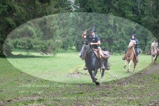 ref. photo 3355148