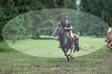 ref. photo 3355149