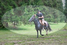 ref. photo 3355150
