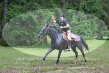 ref. photo 3355151