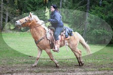 ref. photo 3355155