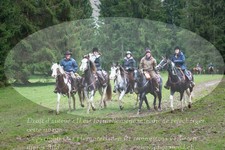 ref. photo 3355178