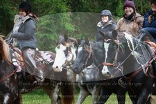 ref. photo 3355187