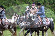 ref. photo 3355188