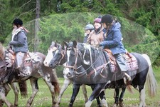 ref. photo 3355189