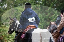 ref. photo 3355191