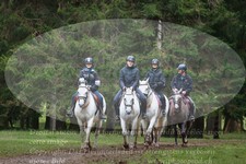 ref. photo 3355209