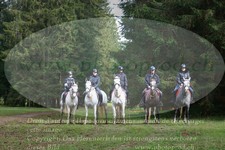 ref. photo 3355214