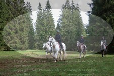 ref. photo 3355229