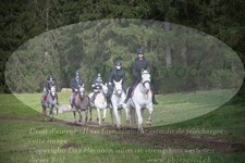 ref. photo 3355245