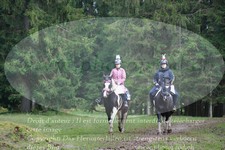 ref. photo 3355265