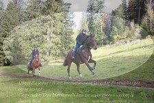 ref. photo 3355308
