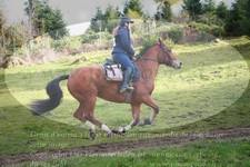 ref. photo 3355311