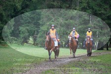 ref. photo 3355319