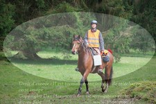 ref. photo 3355324