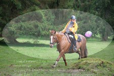 ref. photo 3355330