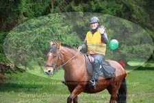 ref. photo 3355338