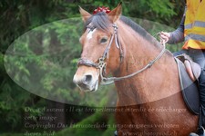 ref. photo 3355341