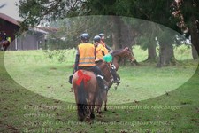 ref. photo 3355342