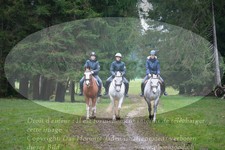 ref. photo 3355351