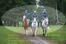ref. photo 3355354