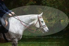 ref. photo 3355360