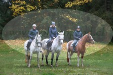 ref. photo 3355362
