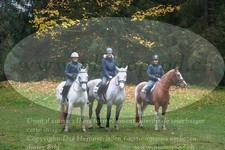 ref. photo 3355363
