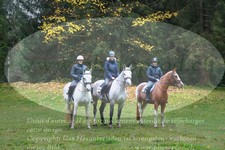 ref. photo 3355364