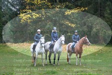 ref. photo 3355365