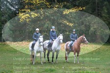 ref. photo 3355366