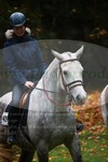 ref. photo 3355369