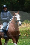 ref. photo 3355370