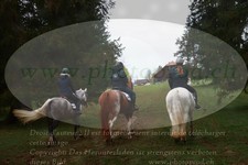 ref. photo 3355372