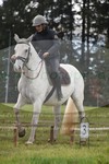 ref. photo 3355384
