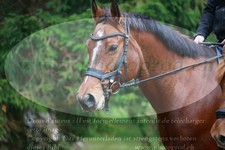 ref. photo 3355394