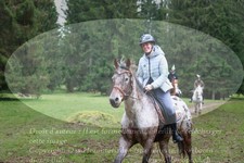 ref. photo 3355434
