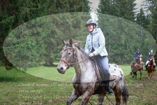 ref. photo 3355435